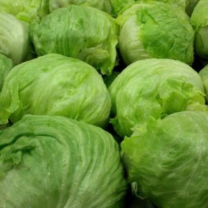 Lechuga Repollada (por unidad)