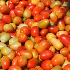Tomate Bugalú (por libra)